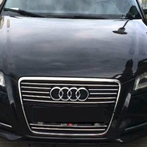 Chrome-plated grilles for Audi A3 8P 8PA 8P7 S3