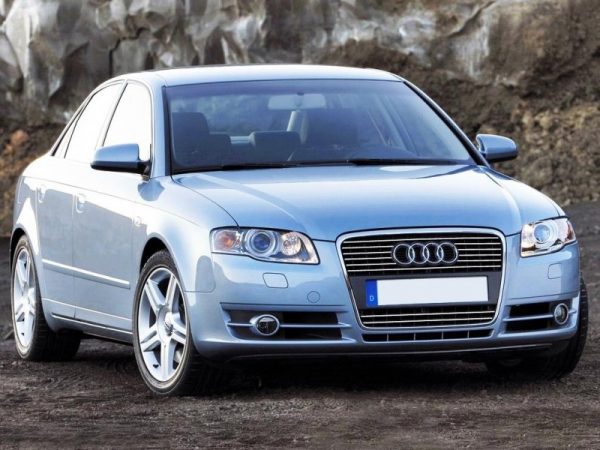 audi-a4-b7-sedan-kombi-04-08-strips-chrome-grill-dummy-tuning (2)