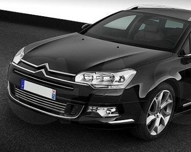 Chrome trim for Citroen C5 III on the front grill.