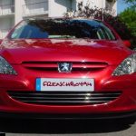 peugeot-307-hb-sw-kombi-03-08-listwy-chrom-grill-atrapa-tuning – 2