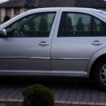 vw-volkswagen-bora-1j2-sedan-98-05-listwy-chrom-chromowane-3m-ochronne-boczne-drzwi – 5